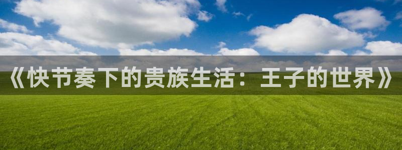 天美娱乐集团：《快节奏下的贵族生活：王子的世界》