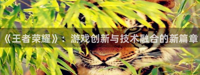 天美娱乐登陆测速