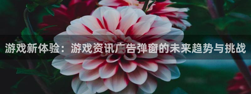 天美娱乐登录：游戏新体验：游戏资讯广告弹窗的未来趋势与挑战