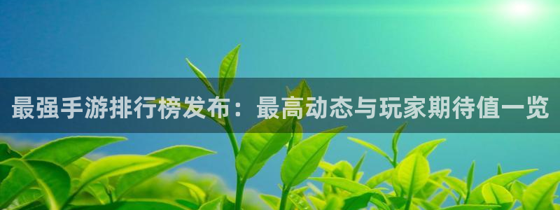 天美娱乐开户测速：最强手游排行榜发布：最高动态与玩家期待值一
