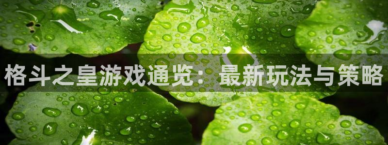 天美娱乐测速登陆：格斗之皇游戏通览：最新玩法与策略