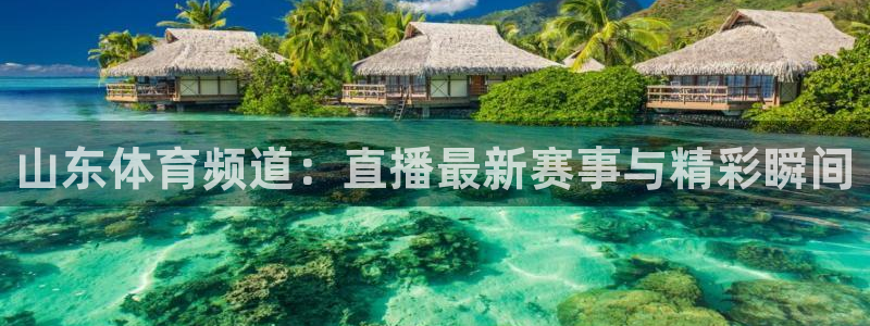 鲸鱼体育直播app下载：山东体育频道：直播最新赛事与精彩瞬间