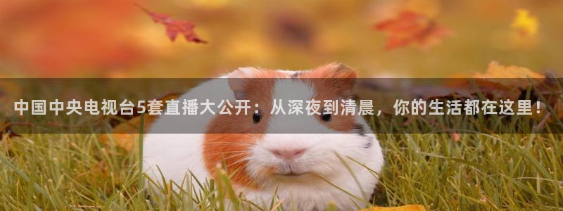 鲸鱼tv：中国中央电视台5套直播大公开：从深夜到清晨，你的生活都在这里！
