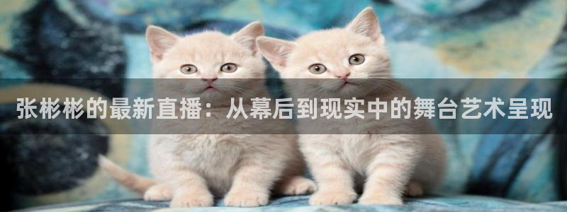 球友直播下载：张彬彬的最新直播：从幕后到现实中的舞台艺术呈现