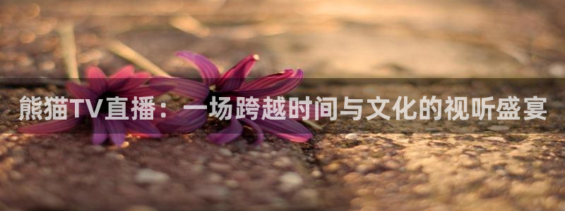 鲸鱼体育app免费下载：熊猫TV直播：一场跨越时间与文化的视听盛宴