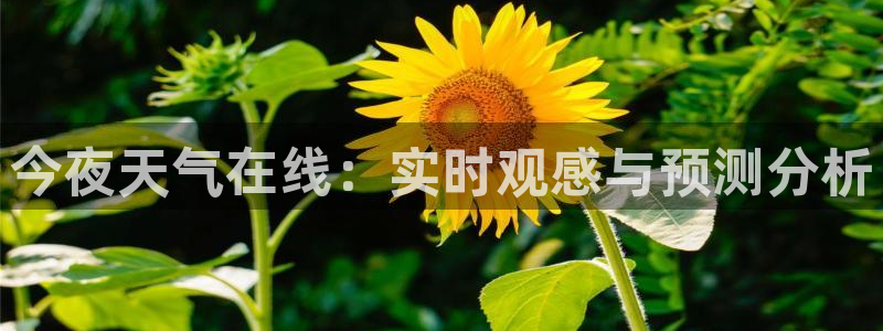 球友体育直播在线观看：今夜天气在线：实时观感与预测分析